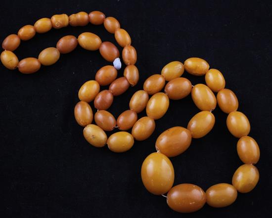 A single strand graduated oval amber bead necklace, 24in.